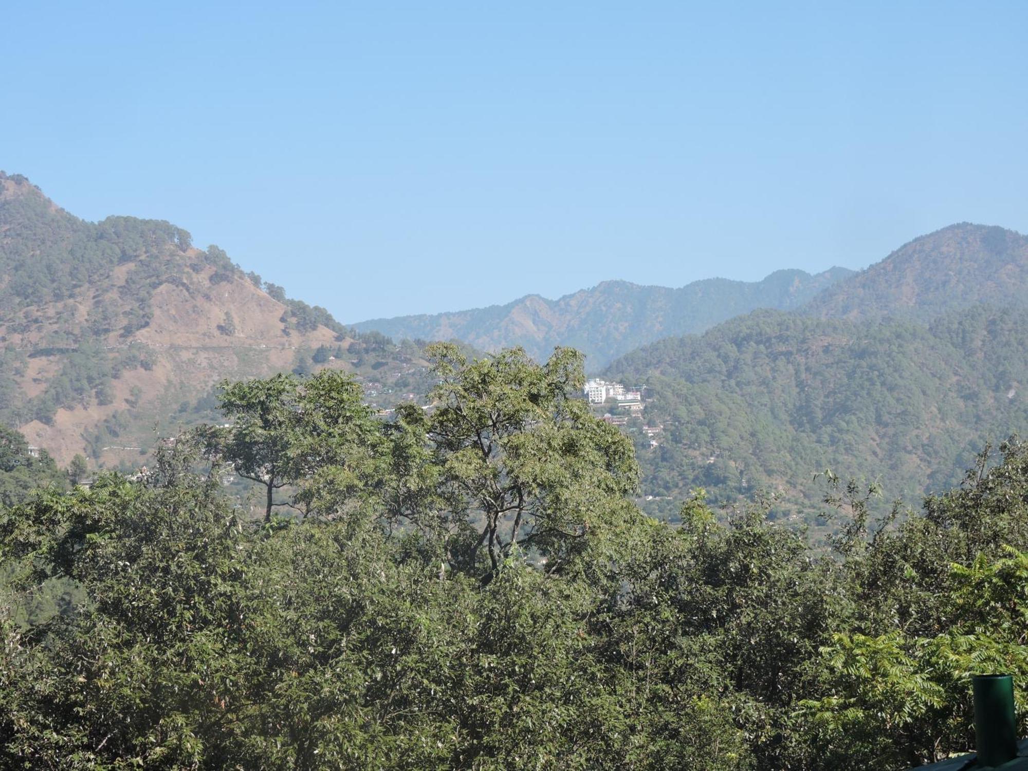 The Manora Woods - Private Hill Top, Gethiya, Nainital Exterior photo